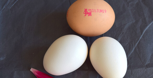 British Lion–stamped egg, perfect for boiling and topping with Just Spices Egg Topping spice